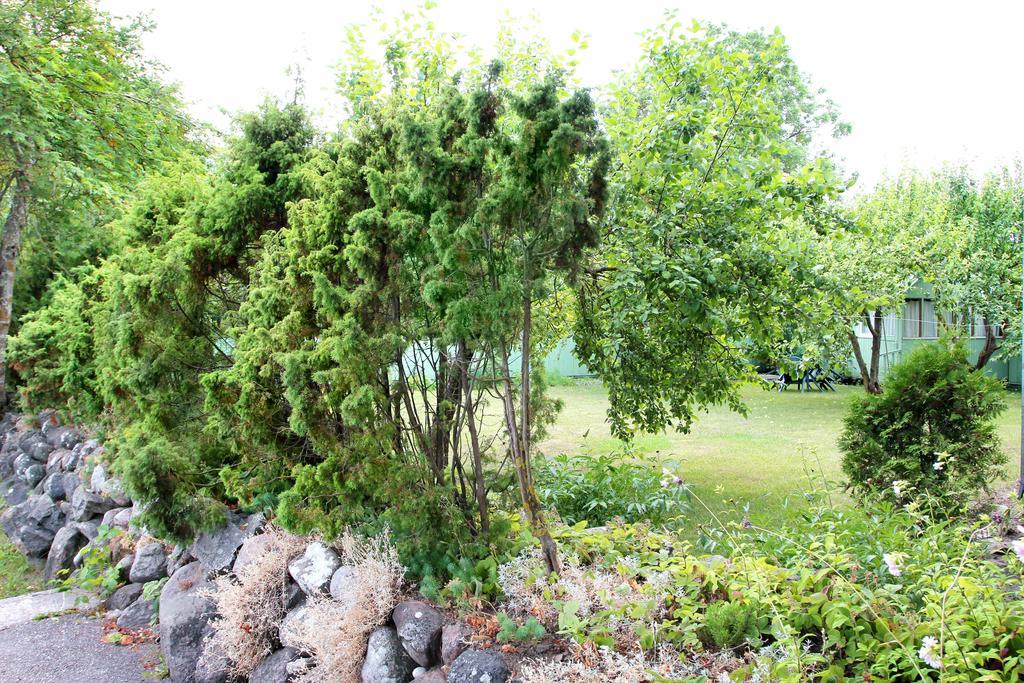 Kraavi Guest Hostel Kuressaare Eksteriør bilde